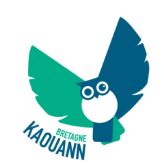 Kaouann