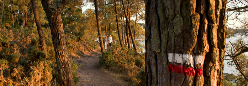 chemin de randonnée