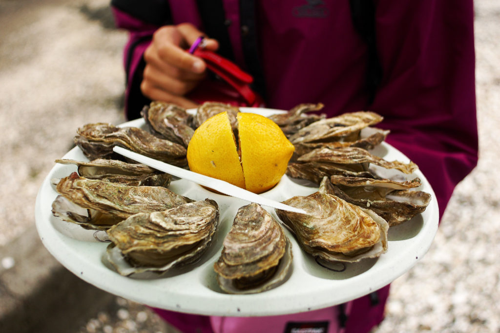 Dégustation d’huîtres sur le port de Cancale 