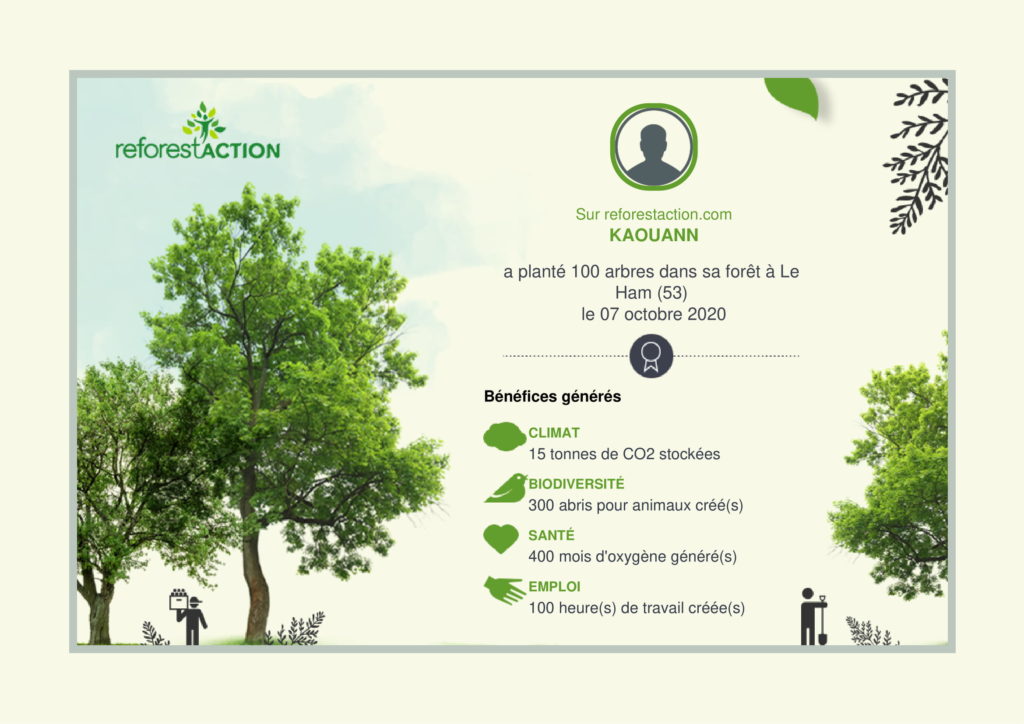 Certificat délivré par ReforestAction montrant l'engagement de Kaouann à travers la plantation de 100 arbres en France