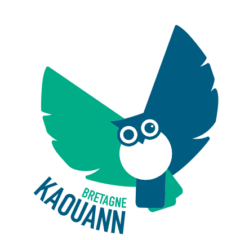 Transparence financière chez Kaouann